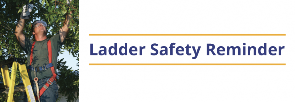 LadderSafety