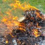 A Large Pile Of Burning Branches And Leaves With Smoke.