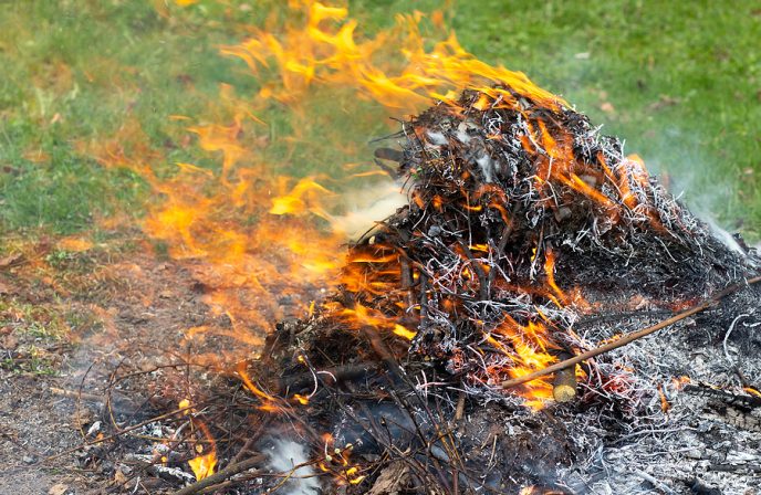 A Large Pile Of Burning Branches And Leaves With Smoke.