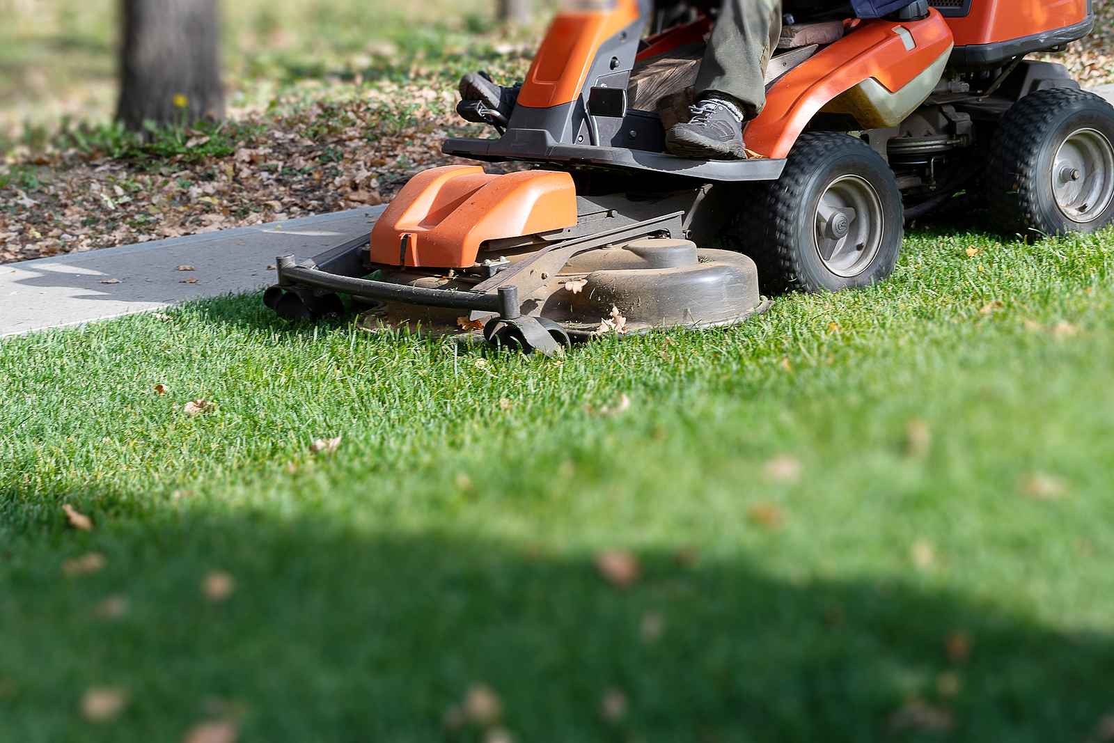 Professional Lawn Mowing Machine. Summer And Autumn Season Sunny